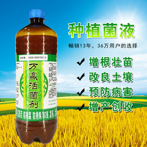 种植em菌液选万赢专业土壤改良剂 科易网工研超市